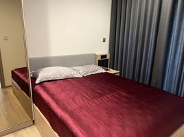 1 Schlafzimmer Wohnung zu vermieten im Kawa Haus, Phra Khanong Nuea