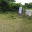 Land for sale in Ban Noen, Phetchabun, Ban Noen