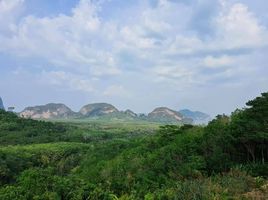  Land for sale in Phangnga, Khlong Khian, Takua Thung, Phangnga