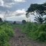  Land for sale in Sam Phran, Nakhon Pathom, Tha Talat, Sam Phran