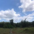  Land for sale in Surat Thani, Makham Tia, Mueang Surat Thani, Surat Thani