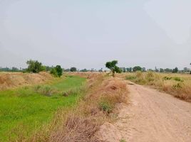  Land for sale in Suphan Buri, Nong Krathum, Doem Bang Nang Buat, Suphan Buri