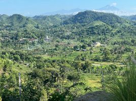  Land for sale in Lombok Barat, West Nusa Tenggara, Lombok Barat