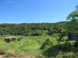  Land for sale in Taquara, Rio Grande do Sul, Pega Fogo, Taquara