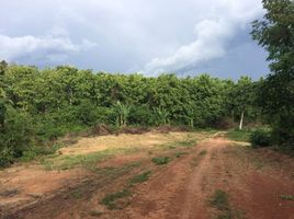  Grundstück zu verkaufen in Phu Phiang, Nan, Fai Kaeo, Phu Phiang, Nan, Thailand