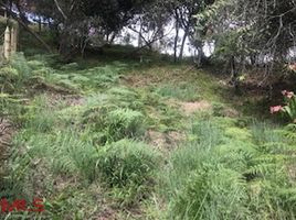  Land for sale in Colombia, Guarne, Antioquia, Colombia