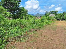  Land for sale in Thalang, Phuket, Pa Khlok, Thalang