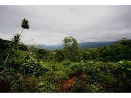  Land for sale in Aguirre, Puntarenas, Aguirre