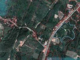  Land for sale in Tak Daet, Mueang Phangnga, Tak Daet