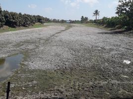  Grundstück zu verkaufen in Bang Sao Thong, Samut Prakan, Sisa Chorakhe Noi