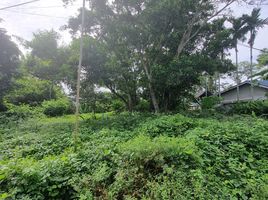  Land for sale in Thalang, Phuket, Si Sunthon, Thalang