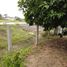  Land for sale in Dao Rueang, Saraburi, Dao Rueang, Mueang Saraburi
