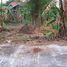  Land for sale in Phuket, Pa Khlok, Thalang, Phuket