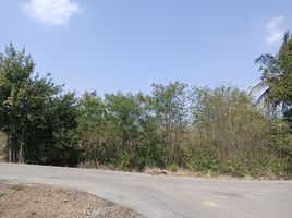  Land for sale in Phra Nakhon Si Ayutthaya, Nong Khanak, Tha Ruea, Phra Nakhon Si Ayutthaya