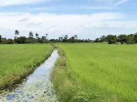  Land for sale in Don Thong, Sena, Don Thong