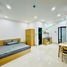 Studio House for rent in Son Tra Da Nang, An Hai Bac, Son Tra
