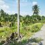  Land for sale in Airport Rail Link Station, Bangkok, Bang Chueak Nang, Taling Chan, Bangkok