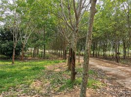  Land for sale in Chiang Klom, Pak Chom, Chiang Klom