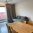 1 Bedroom Condo for rent at Hòa Bình Green Đà Nẵng, Nai Hien Dong, Son Tra