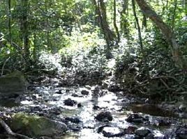  Land for sale in Costa Rica, Mora, San Jose, Costa Rica