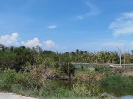  Land for sale in Phra Samut Chedi, Samut Prakan, Ban Khlong Suan, Phra Samut Chedi