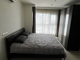 1 Schlafzimmer Wohnung zu vermieten im Aspire Sukhumvit 48, Phra Khanong