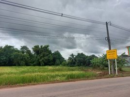  Grundstück zu verkaufen in Phen, Udon Thani, Phen, Phen