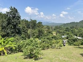  Land for sale in Hang Dong, Chiang Mai, Nam Phrae, Hang Dong