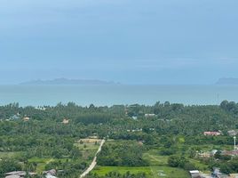  Land for sale in Surat Thani, Lipa Noi, Koh Samui, Surat Thani