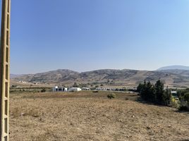  Land for sale in Morocco, Fahs, Fahs Anjra, Tanger Tetouan, Morocco