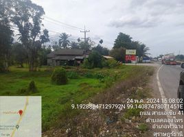  Land for sale in Tha Chang, Surat Thani, Khlong Sai, Tha Chang