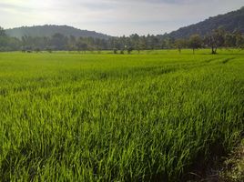  Land for sale in Tha Tako, Nakhon Sawan, Phanom Rok, Tha Tako