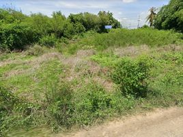  Land for sale in Song Phi Nong, Suphan Buri, Thung Khok, Song Phi Nong