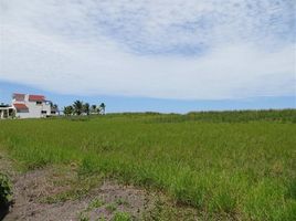  Land for sale in Panama, Guarumal, Alanje, Chiriqui, Panama