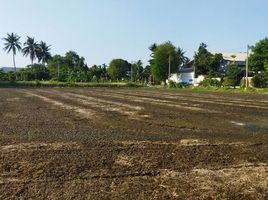  Land for sale in Rai Khing, Sam Phran, Rai Khing