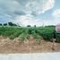  Land for sale in Mueang Nakhon Ratchasima Nakhon Ratchasima, Suranari, Mueang Nakhon Ratchasima, Nakhon Ratchasima