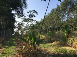  Land for sale in Mueang Chumphon, Chumphon, Hat Phan Krai, Mueang Chumphon