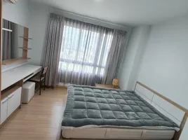 2 Schlafzimmer Wohnung zu vermieten im Centric Scene Ratchavipha, Wong Sawang, Bang Sue