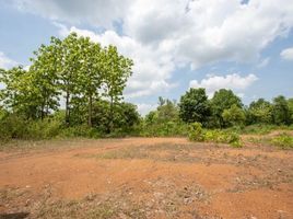  Land for sale in Chiang Mai, Luang Nuea, Doi Saket, Chiang Mai