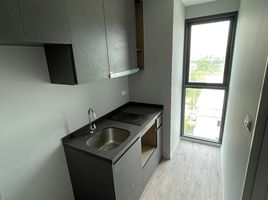 1 Schlafzimmer Wohnung zu vermieten im Aspen Condo Lasalle, Bang Na, Bang Na, Bangkok, Thailand