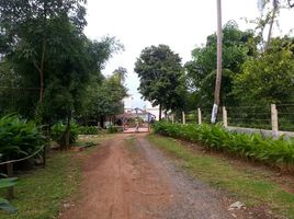  Land for sale in Trat, Ko Chang, Ko Chang, Trat