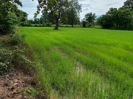  Land for sale in Don Wai, Non Sung, Don Wai