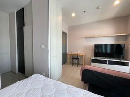 1 Schlafzimmer Wohnung zu vermieten im Niche Mono Sukhumvit - Puchao, Thepharak, Mueang Samut Prakan, Samut Prakan