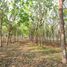  Land for sale in Mueang Nong Bua Lam Phu, Nong Bua Lam Phu, Na Mafueang, Mueang Nong Bua Lam Phu