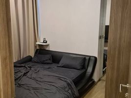 1 Schlafzimmer Wohnung zu vermieten im Celes Asoke, Khlong Toei Nuea