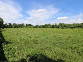  Land for sale in Ban Waen, Hang Dong, Ban Waen