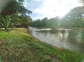  Grundstück zu verkaufen in Mueang Nakhon Nayok, Nakhon Nayok, Hin Tang