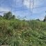  Land for sale in Mueang Chiang Mai Chiang Mai, Pa Daet