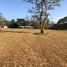  Land for sale in Guanacaste, Hojancha, Guanacaste