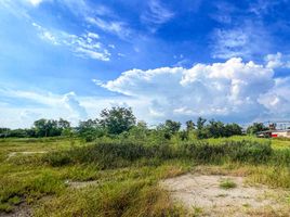  Grundstück zu verkaufen in Phan Thong, Chon Buri, Nong Kakha, Phan Thong